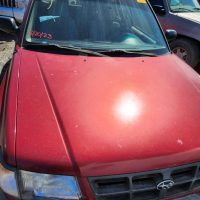 338203225_951856035969280_2523487703200354124_n